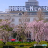 ホテルニューグランド前から