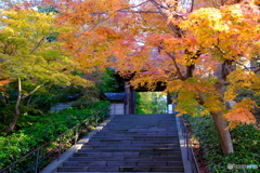 円覚寺・総門
