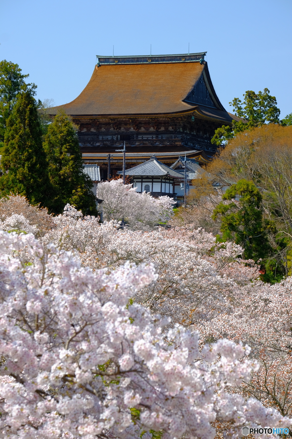 吉野　金峯山寺