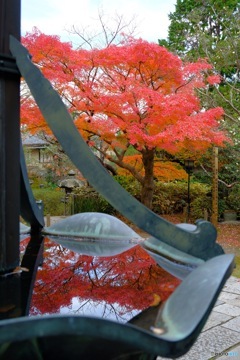 秋の水鏡
