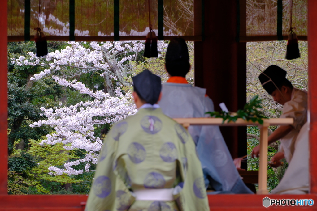 ほうちょう式