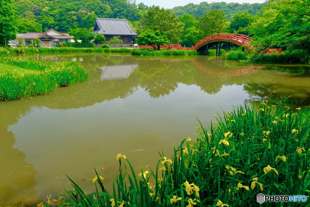 横浜の浄土式庭園