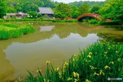 横浜の浄土式庭園