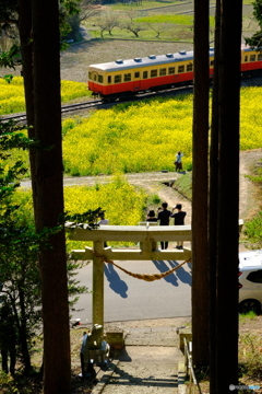 鳥居と列車