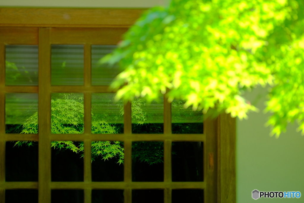 Another Green