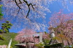 身延山久遠寺山門前