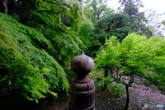 新緑に囲まれて