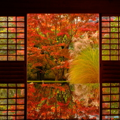 大徳寺 興臨院