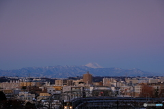 ビーナスベルト富士