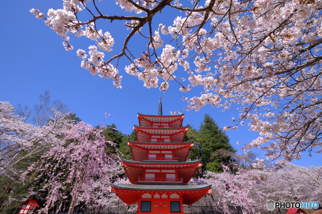 新倉山浅間神社