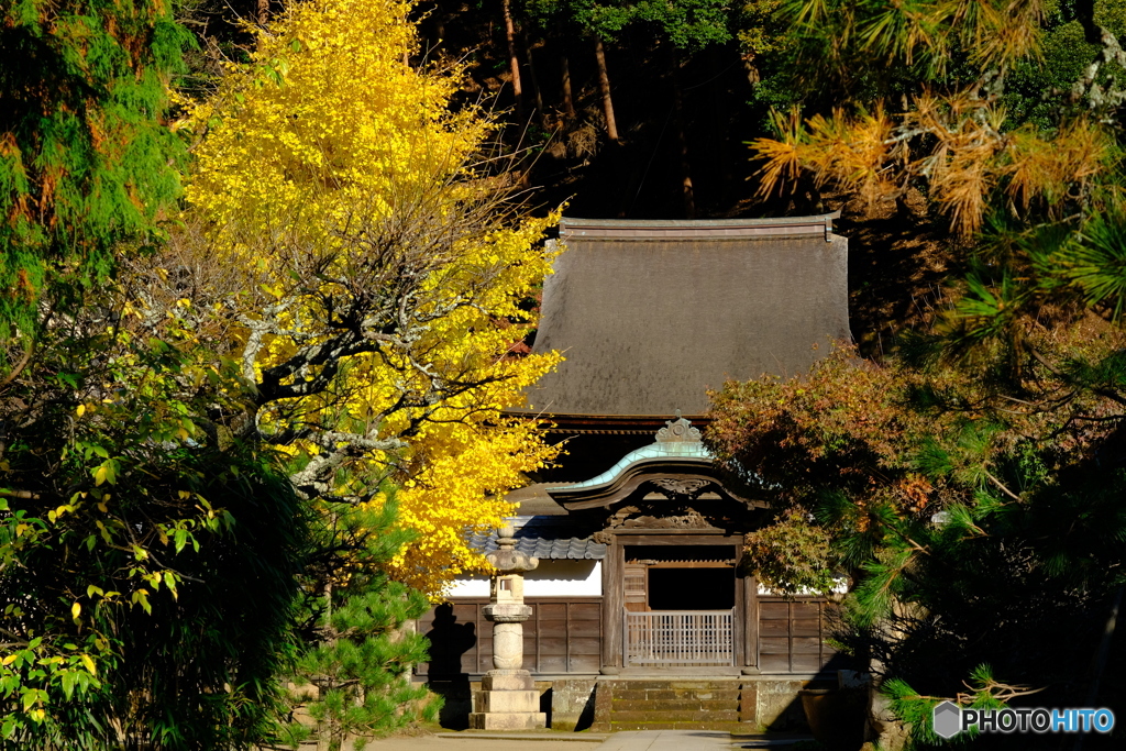 円覚寺・舎利殿