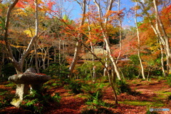 祇王寺の敷き紅葉