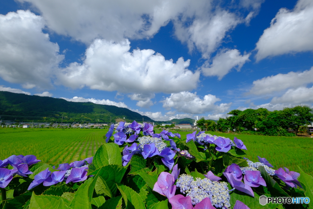 快晴開成町