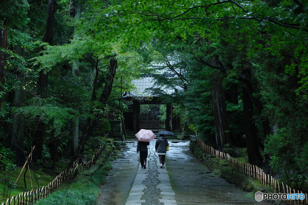 雨の参道
