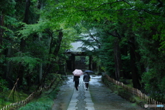 雨の参道