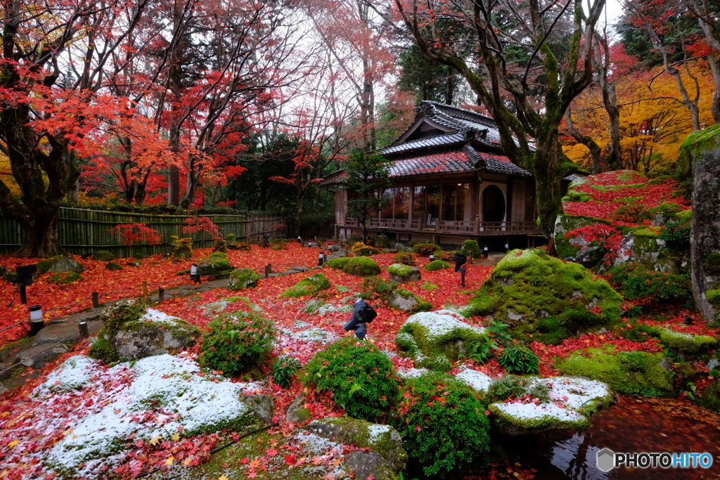 初めての教林坊