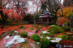 初めての教林坊