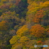 紅葉前線は平野部へ