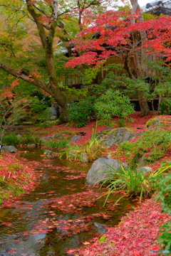 晩秋・宝厳院