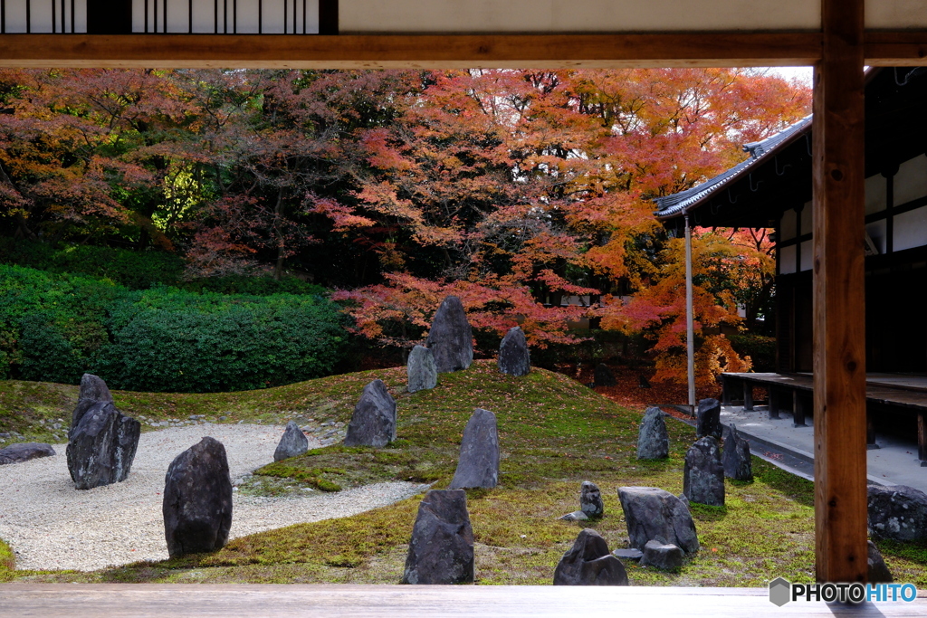 東福寺 光明院 波心庭