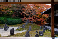 東福寺 光明院 波心庭