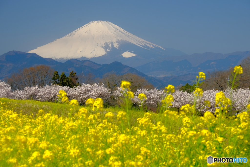 古道からの絶景