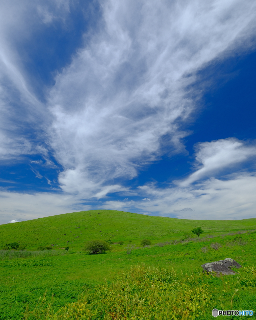 立ちはだかる夏雲