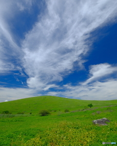 立ちはだかる夏雲