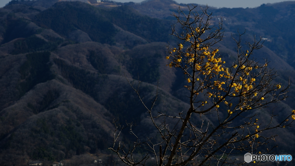 秩父の山々