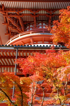 新勝寺 平和大塔