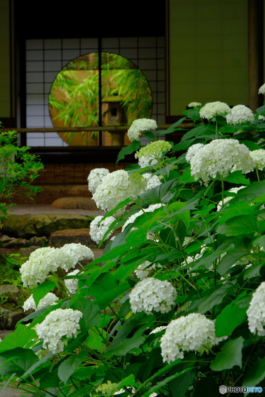 花と一緒に眺める