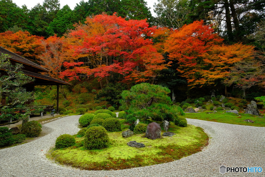 曼殊院門跡・庭園