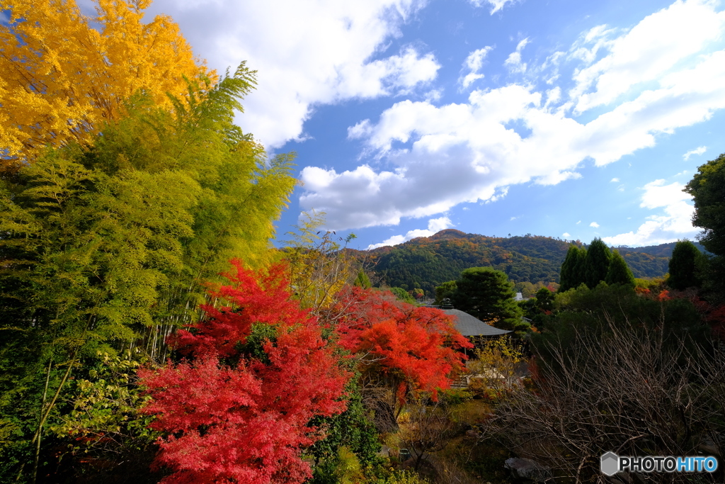 大文字山を借景に