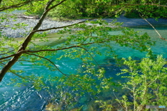 清流・梓川