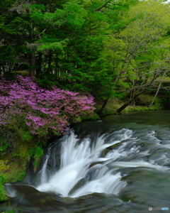 日光・湯川