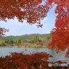 大沢池の秋