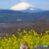 吾妻山の名猫