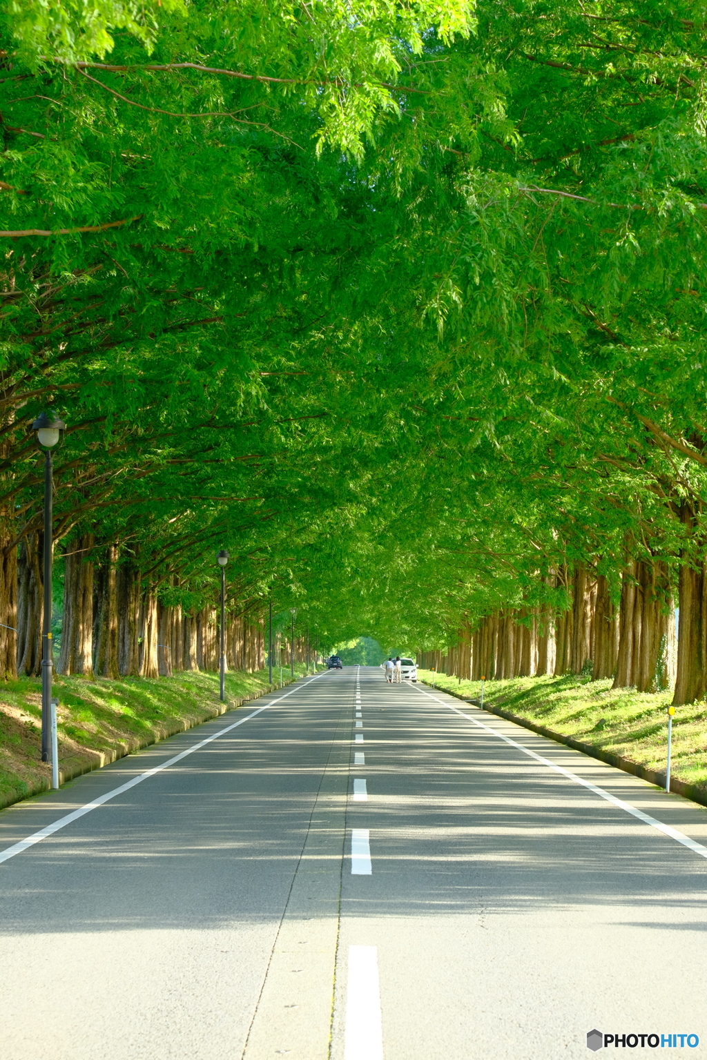 Green Road