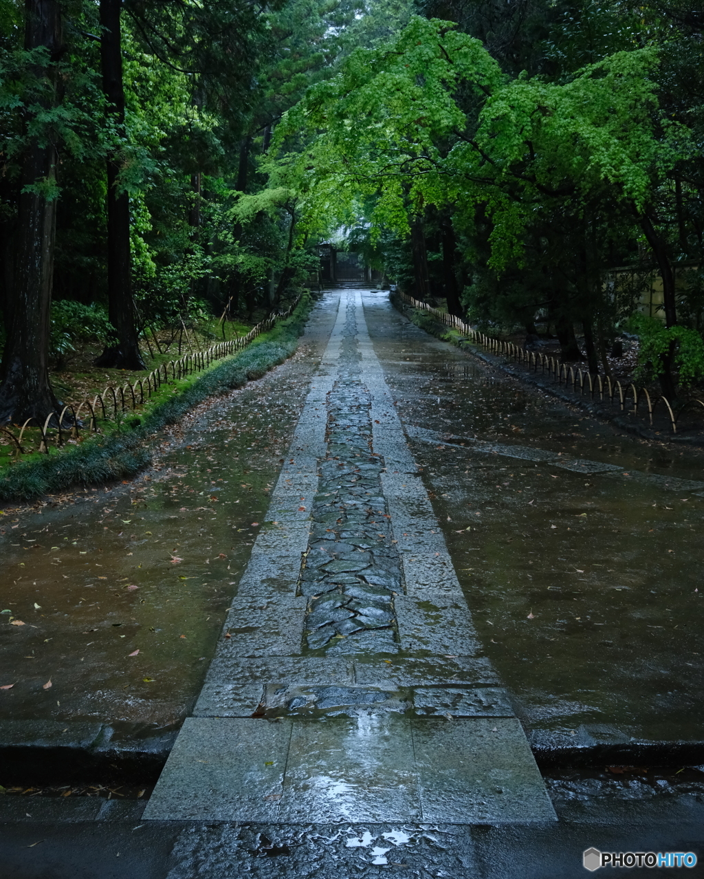 雨の参道