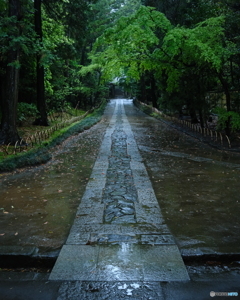 雨の参道