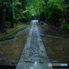 雨の参道