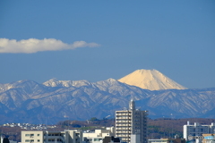 『 富士山の日 』