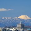 『 富士山の日 』