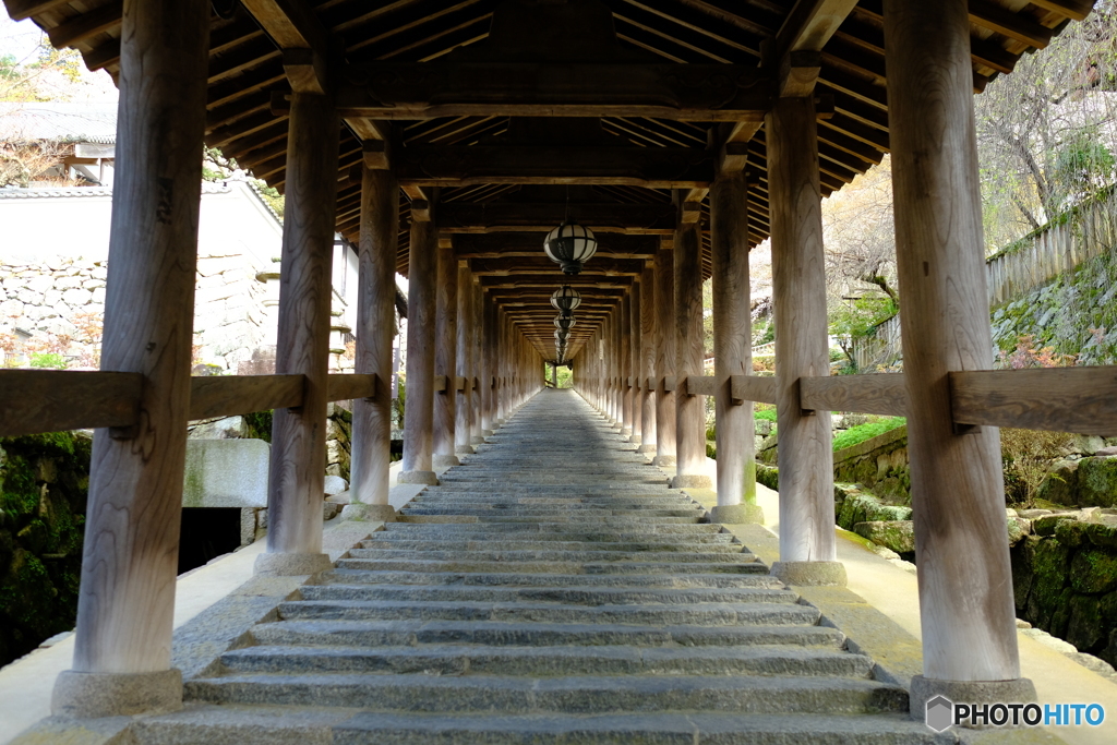 長谷寺 登廊