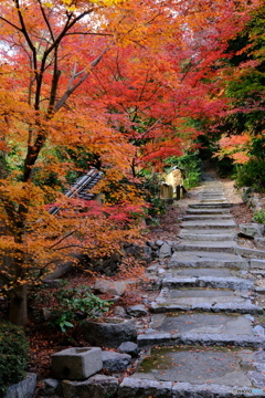 西郷ゆかりのお寺で