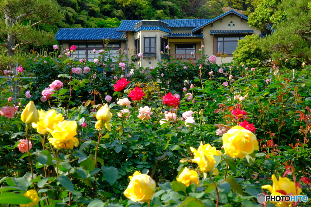 鎌倉文学館