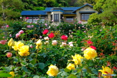 鎌倉文学館