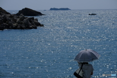 夏の日本海を望む