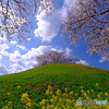 さきたま古墳公園　丸墓山古墳