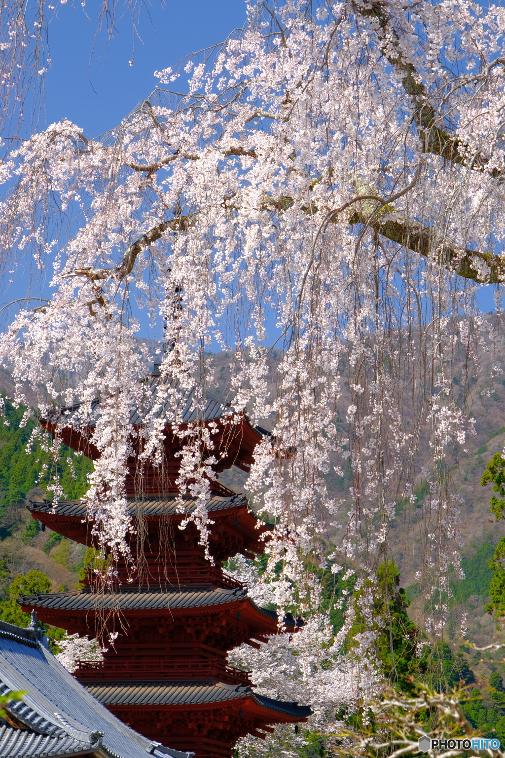 身延山久遠寺五重塔